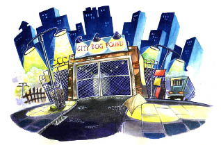city dog pound