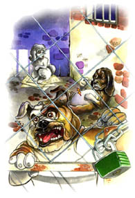 caged