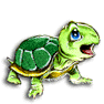 turtle tales