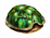 turtle tales