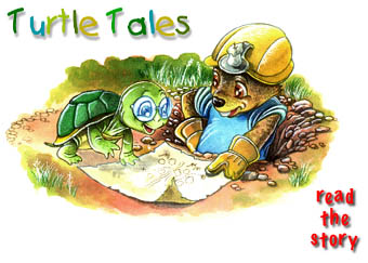turtle tales