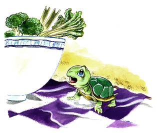 fresh lettuce